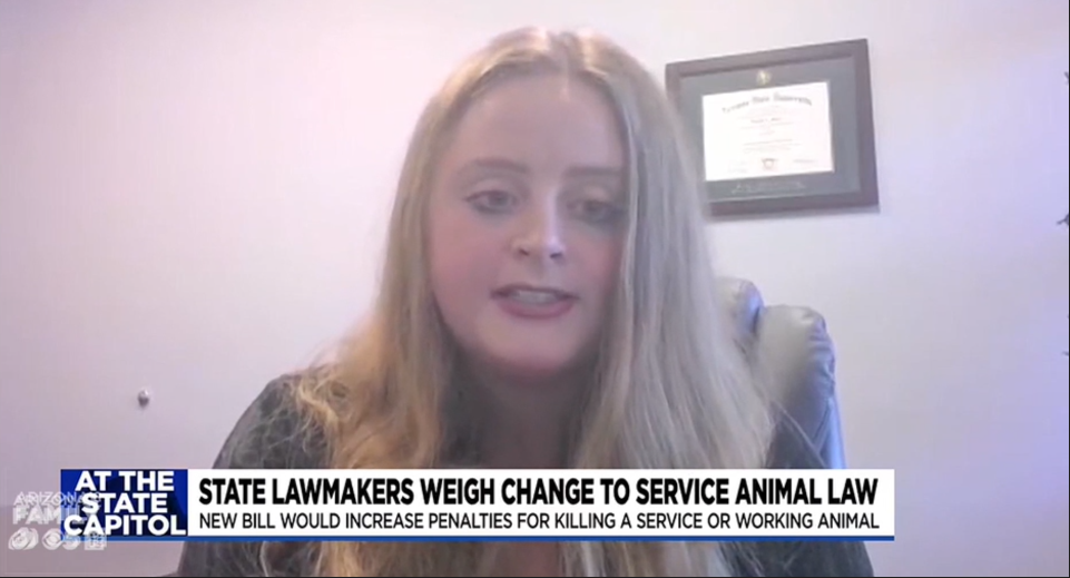 Criminal Defense Attorney Rachel Moss Speaks on a Proposed Bill Regarding Penalties for Harming Service Animals on AZ Family